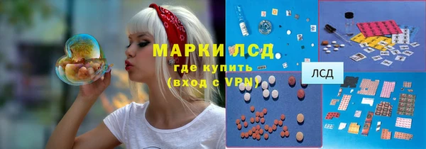 спайс Алзамай