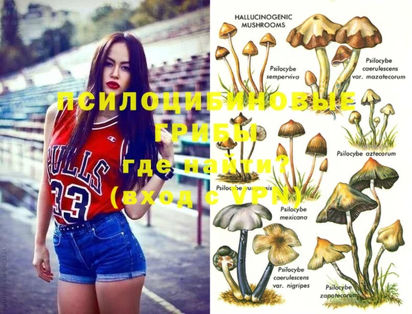 2c-b Абинск