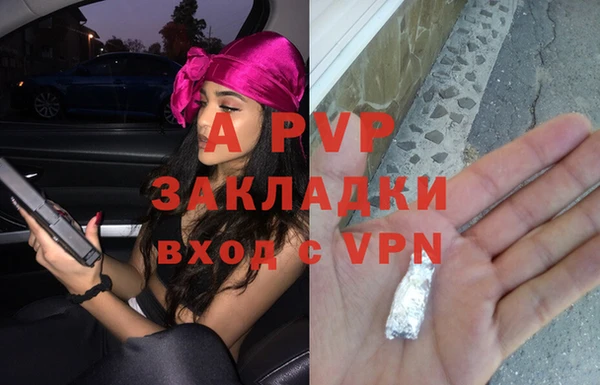 PSILOCYBIN Абдулино