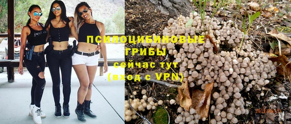 спайс Алзамай